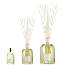 Ginger Lime Diffuser -Twisted Lily Shop GingerLimeDiffusers