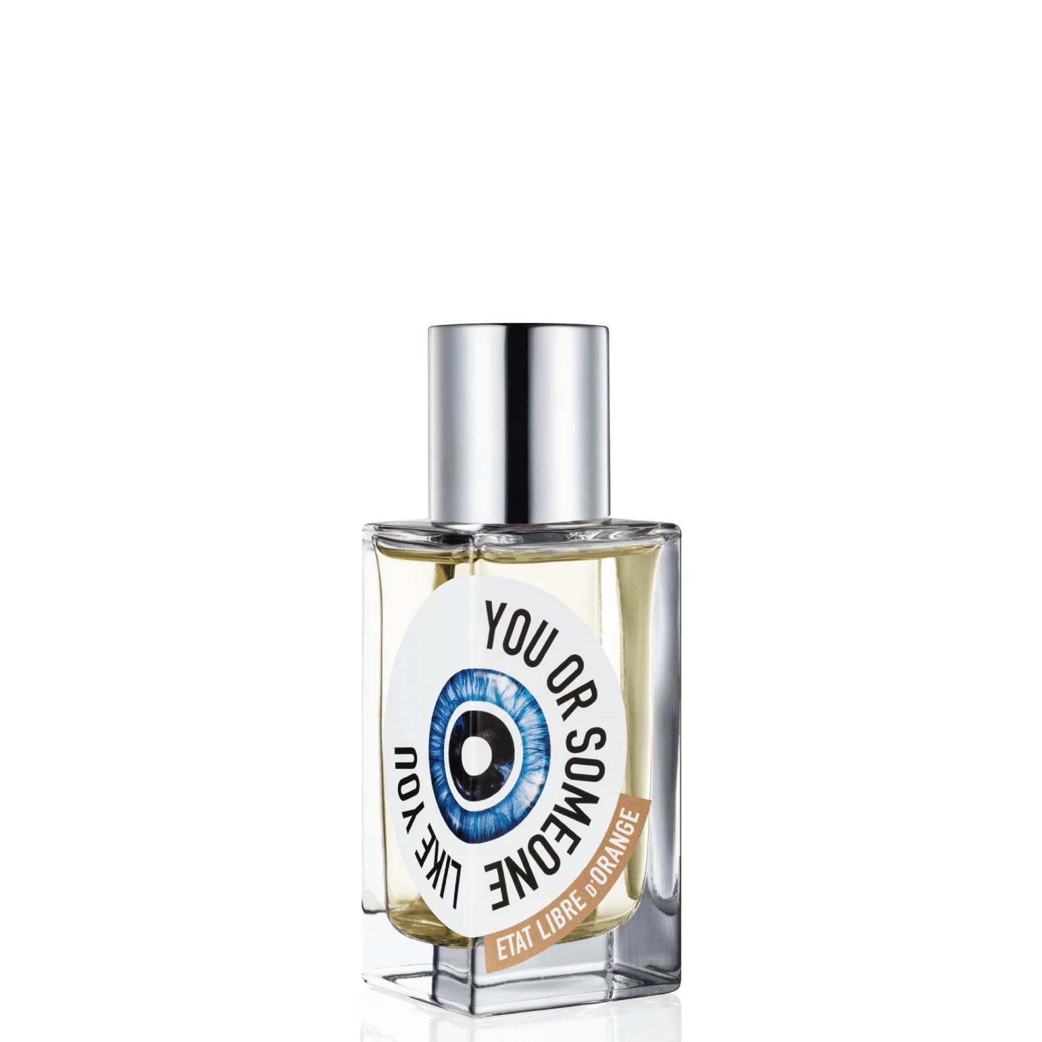 You Or Someone Like You 2 You Or Someone Like You - Image 2